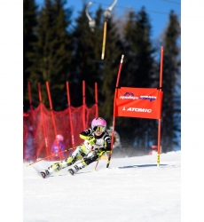 Head Young Rebels - Basic